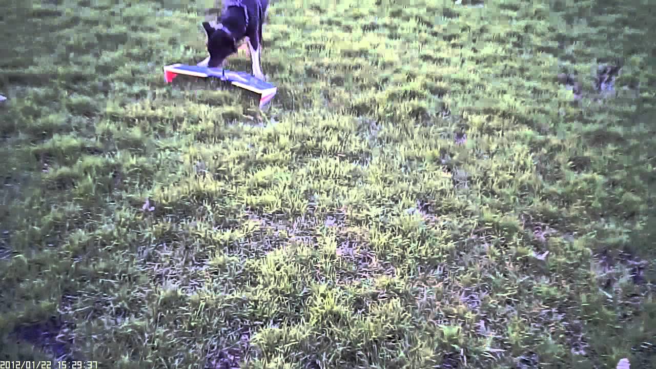 Radio control planes using various KFm wings