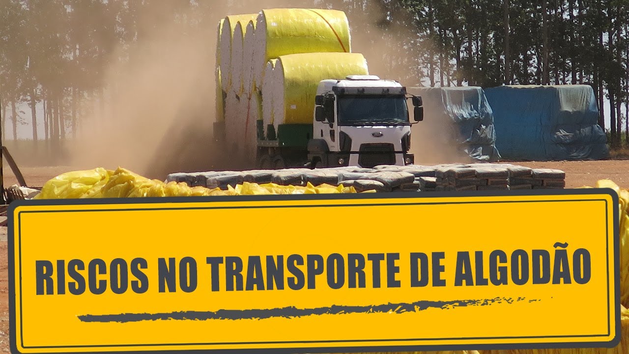 Riscos no transporte de algodão