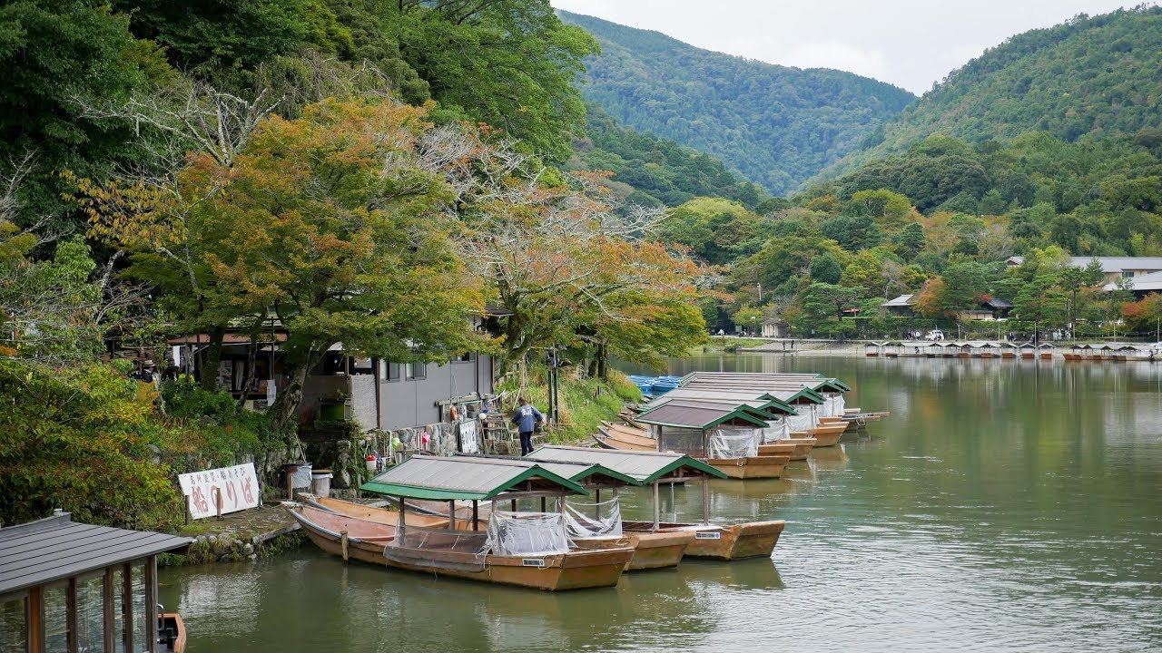First day in KYOTO! Tenryuji Temple,  Monkey Forest and Togetsukyo Bridge