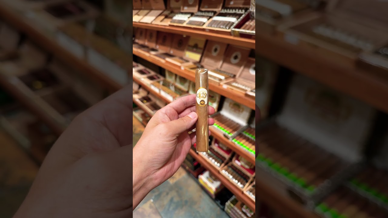 Oliva Connecticut!!!