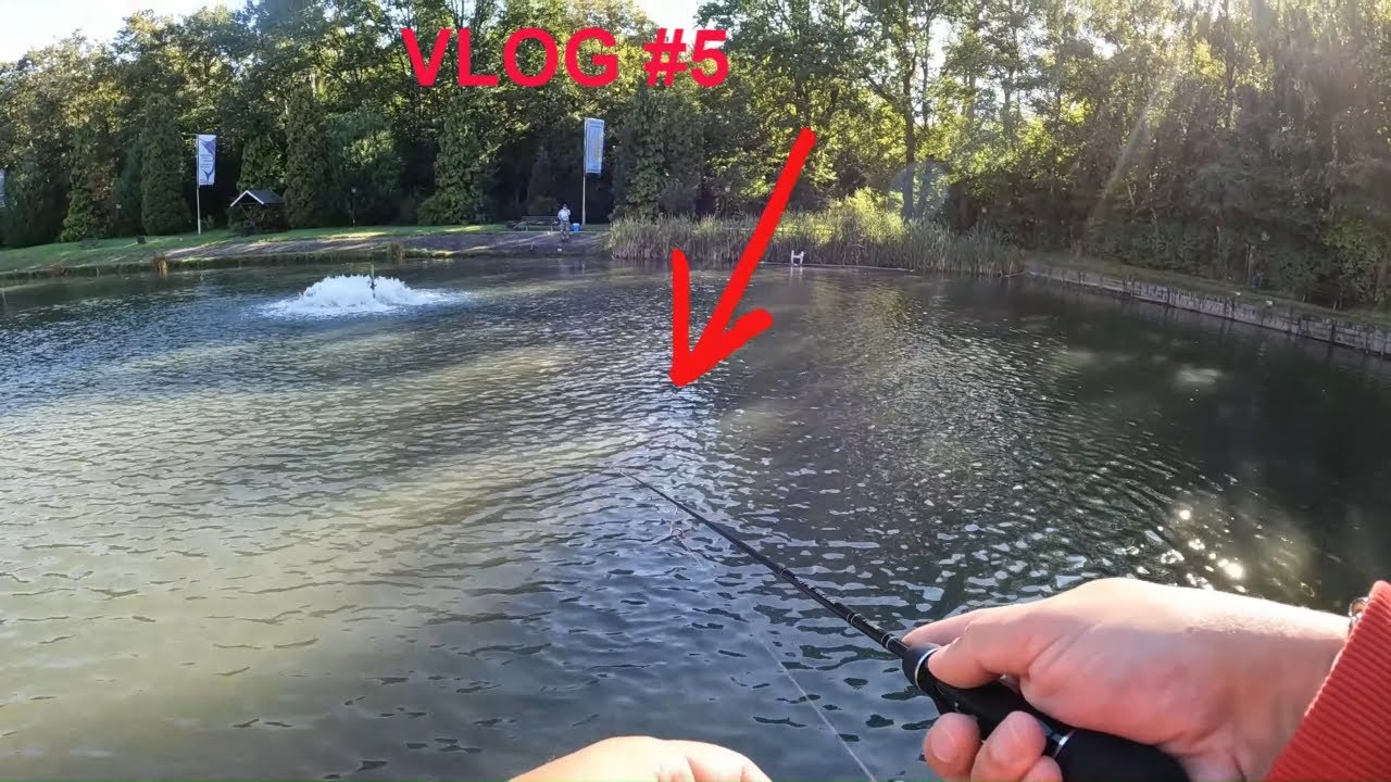 bienes angelparadies / forellenangeln / trout fishing / 4K video
