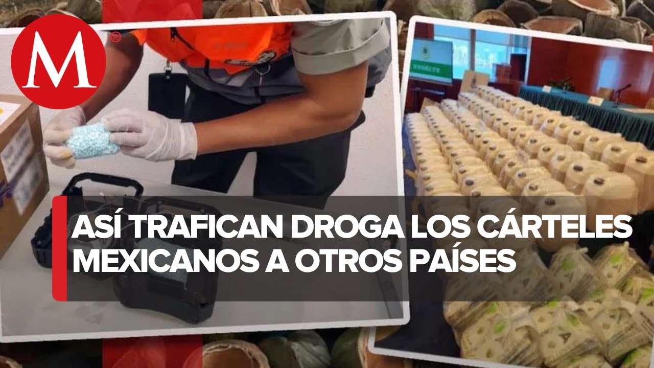 Cárteles llevan droga a Australia entre piel de vaca o jugo de limón