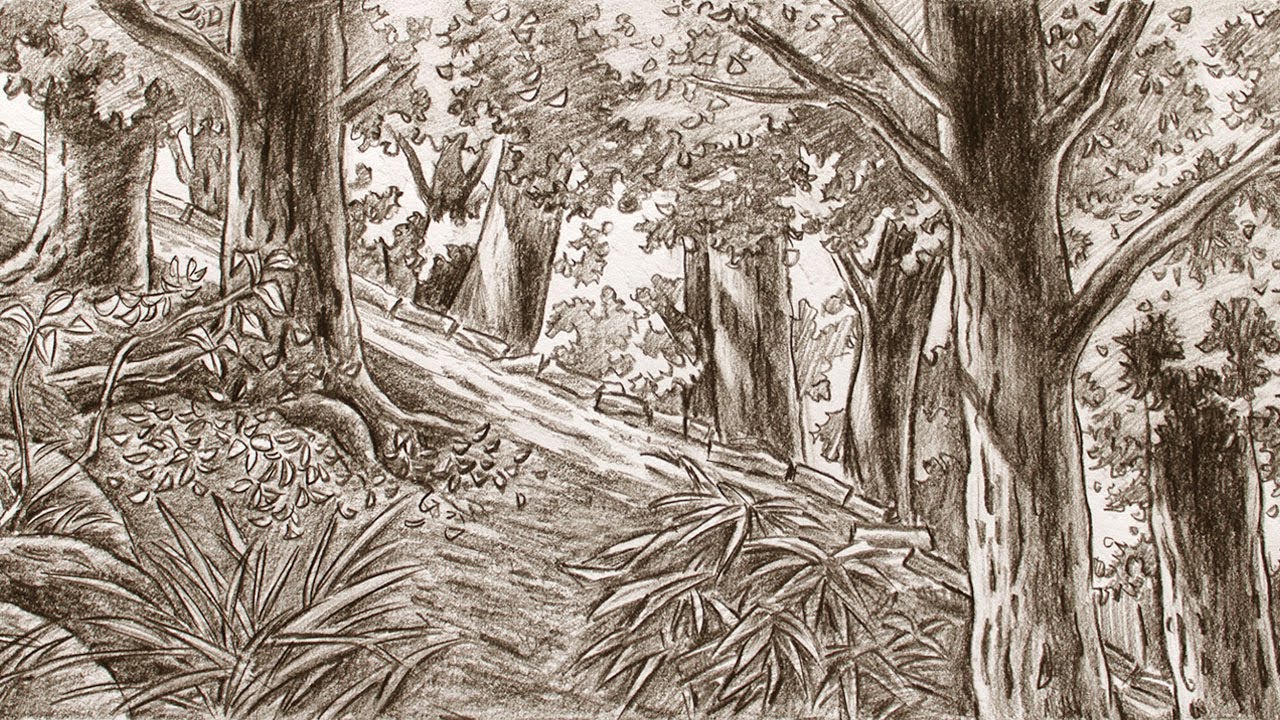 How to Draw Trees (Backgrounds/landscapes)