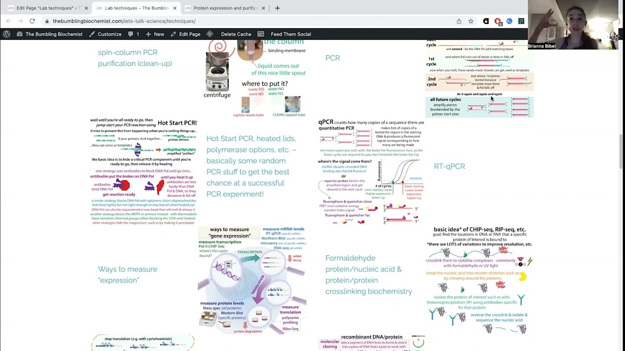 Biochemistry and molecular biology techniques - an overview