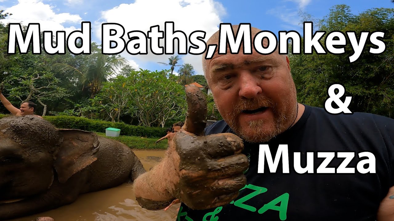 Mud and Monkeys