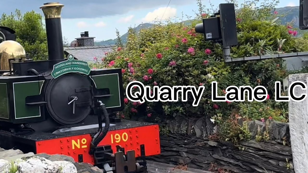 *Broken Red Light* Minffordd Quarry Lane level crossing