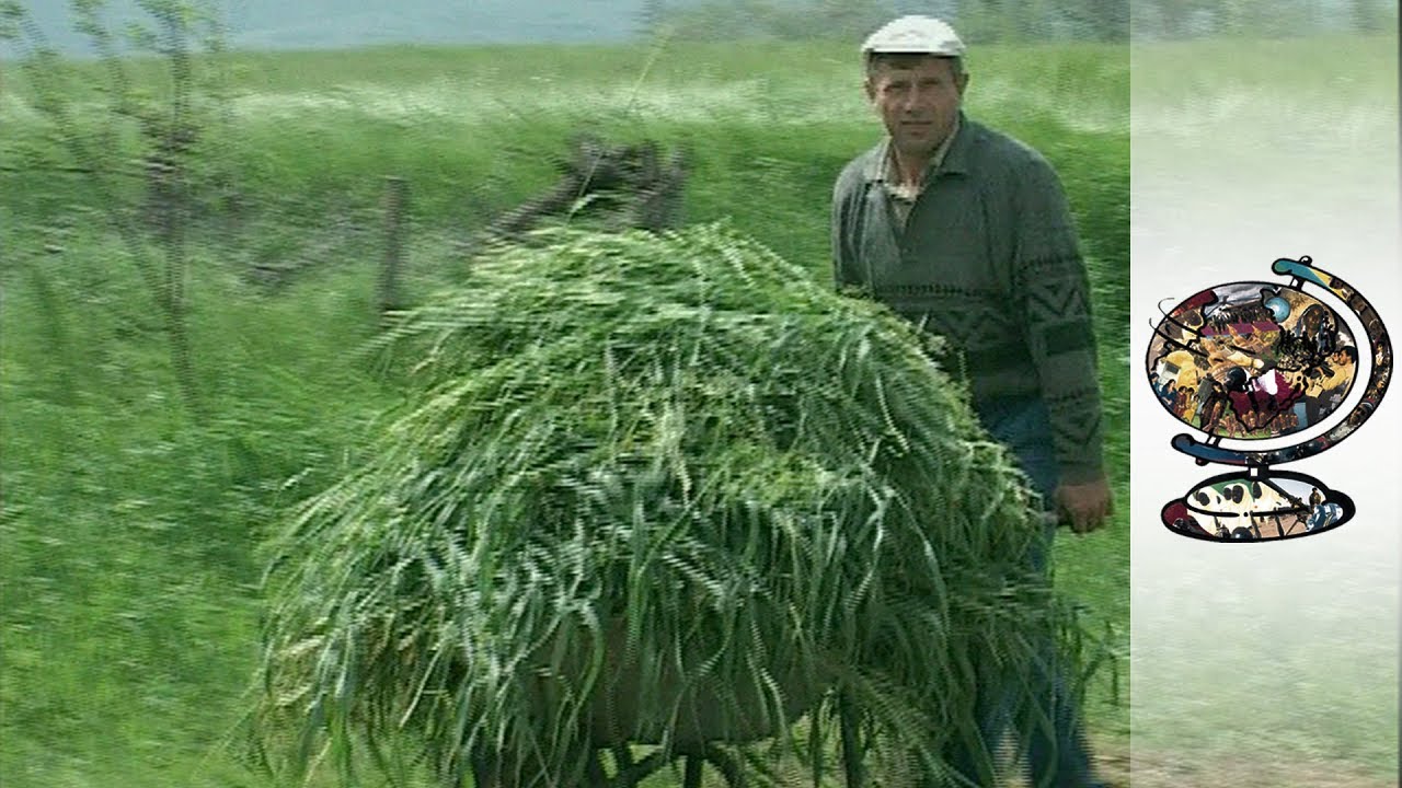 Passing the Blame in Divided Macedonia (2001)