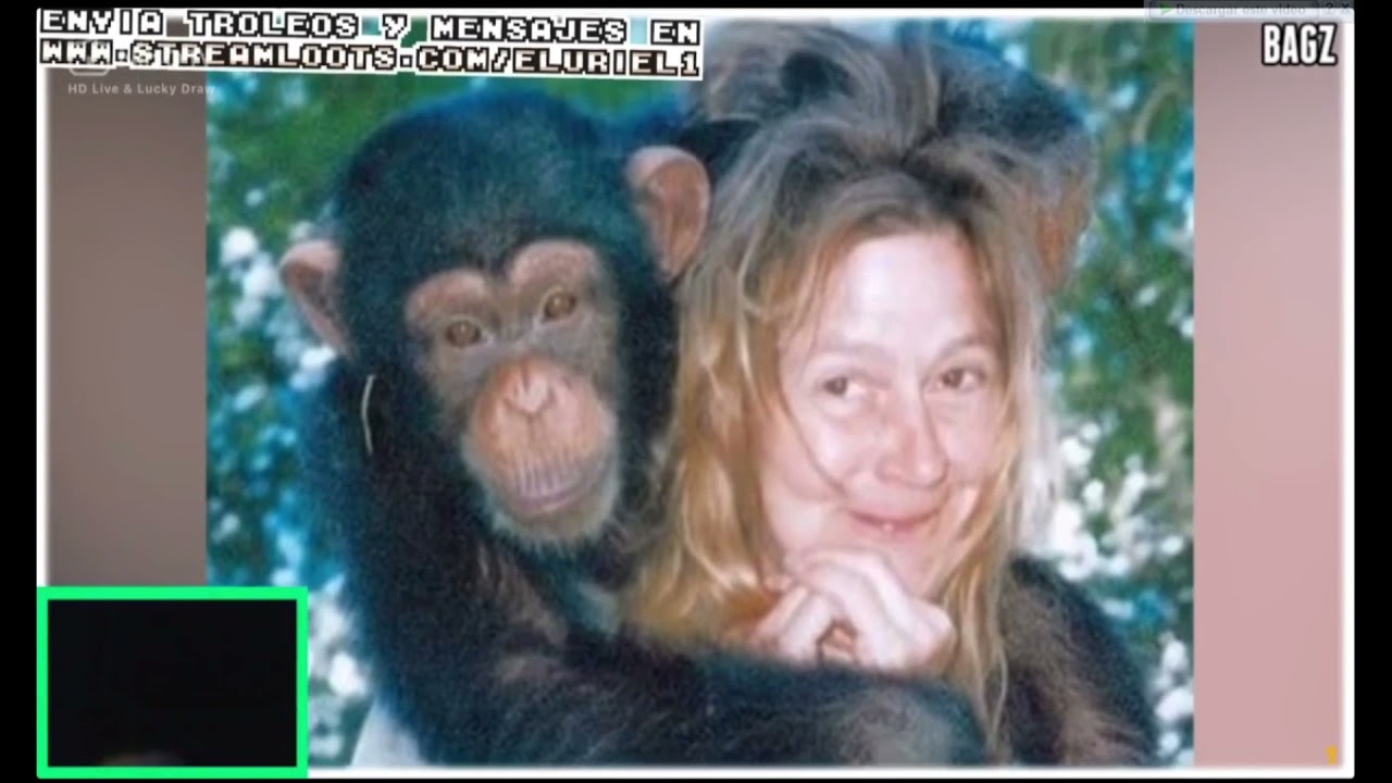 El Uriel reacciona al iceberg de llamadas al 911