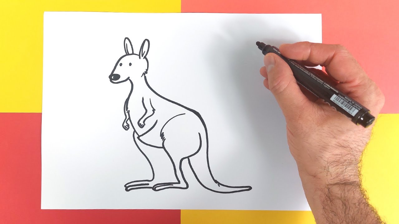 Comment dessiner un kangourou ?