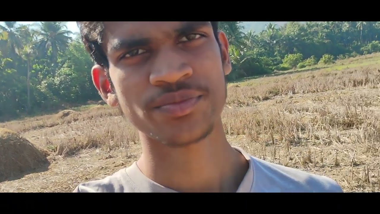 Aaj khet mein mor dikh gaye