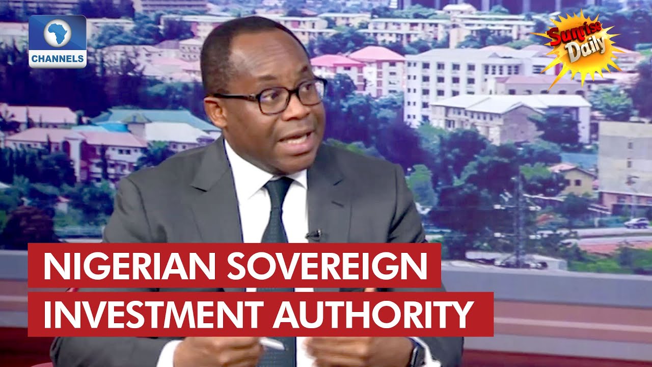 Why We Manage Funds For State, Local Govt And Not Private Sector - NSIA