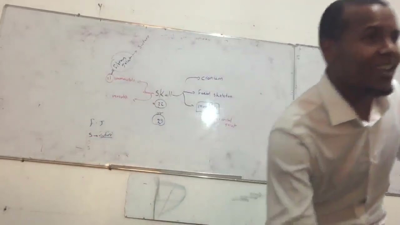 د.عبدالمنعم المريمي (Head&neck👨🏻) محاضرة (1)