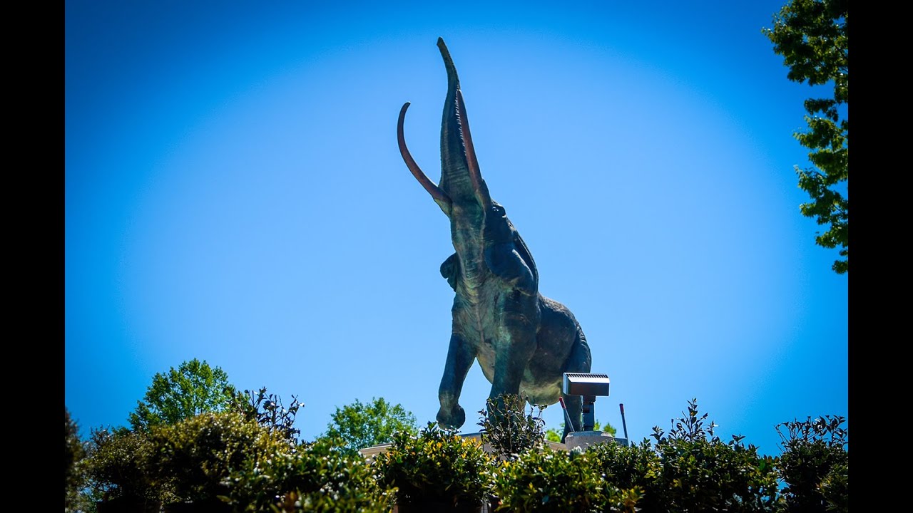 Elephant Statue Moved to Alabama Campus