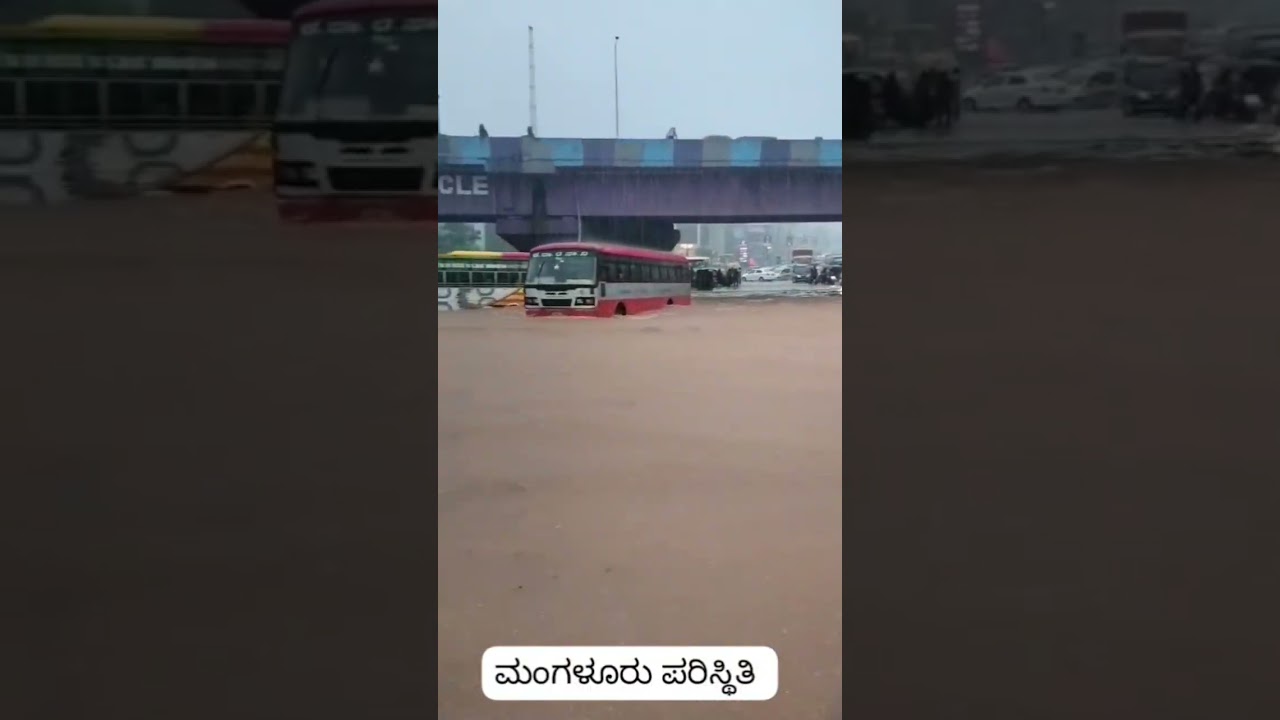 Heavy Rain In Mangalore #trendingshorts #shortsfeed #rain