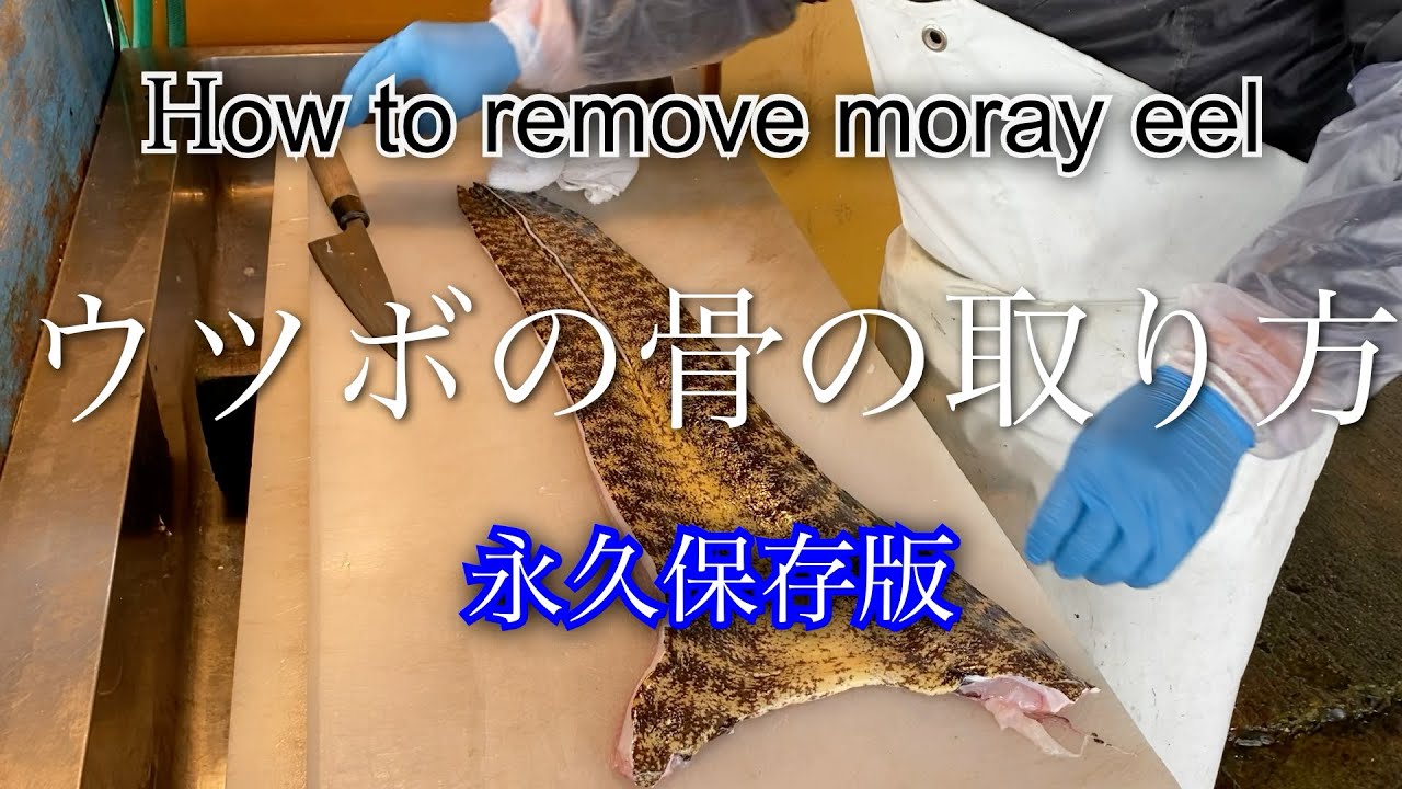 【プロの技】ウツボの骨の取り方【秘伝】ウツボのさばき方