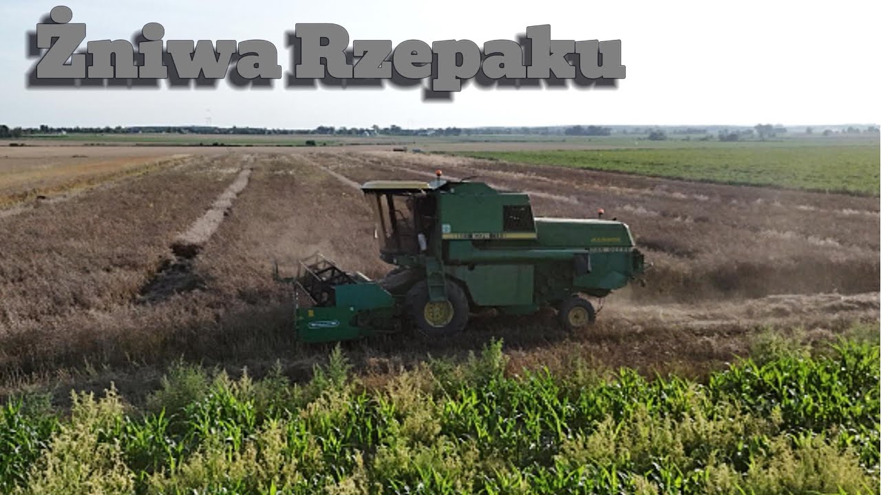 🌾 Żniwa rzepaku 2025 | John Deere 1075 w akcji | DJI Mini 4 Pro | Dolny Śląsk 🚜✈️
