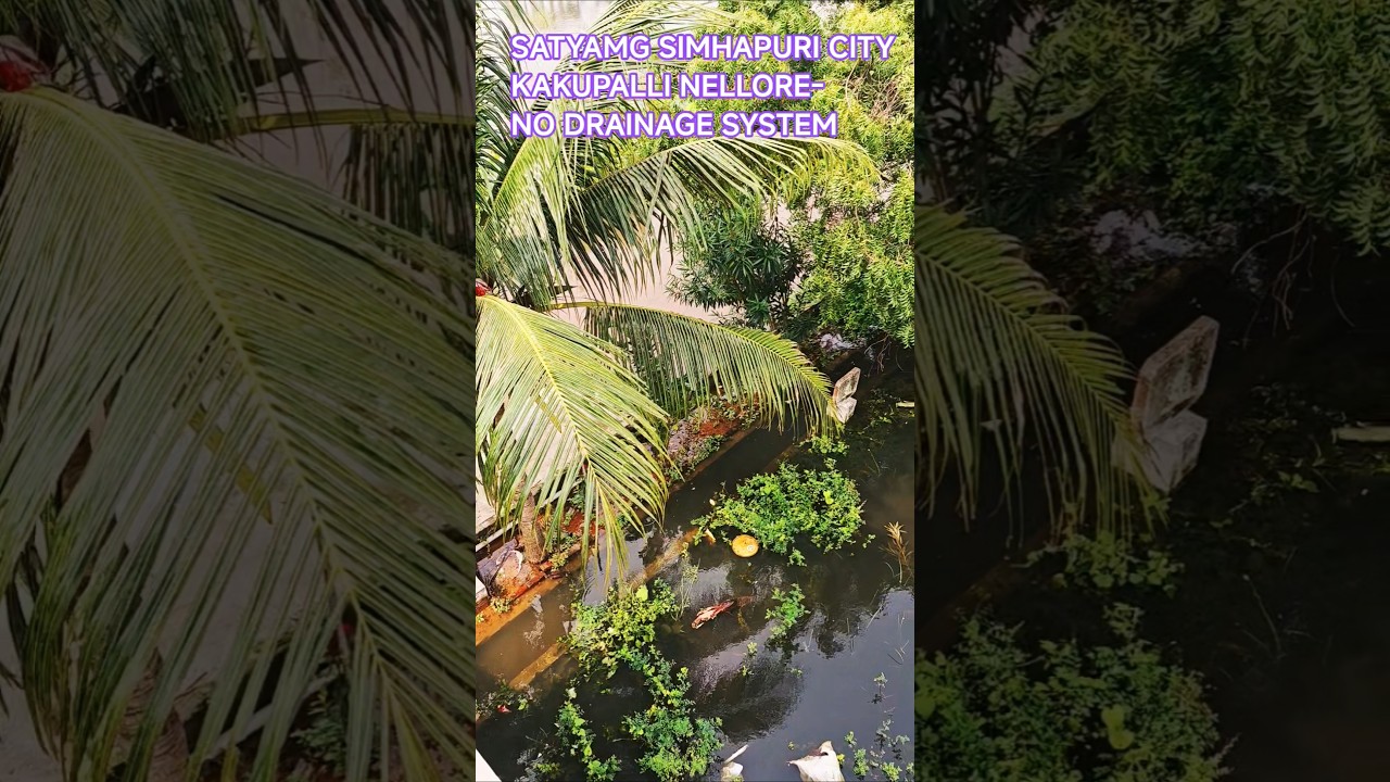 SatyamG Simhapuri City Kakupalli Nellore