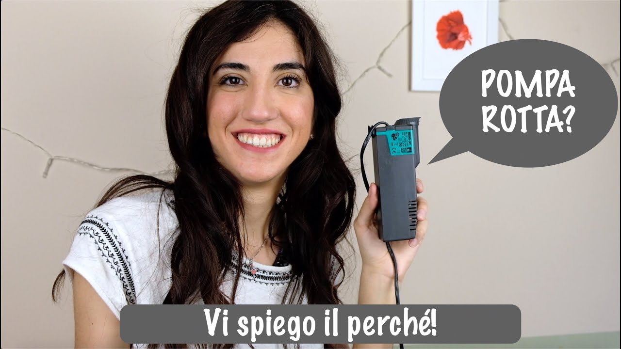 Come fare la manutenzione di una pompa per acquario