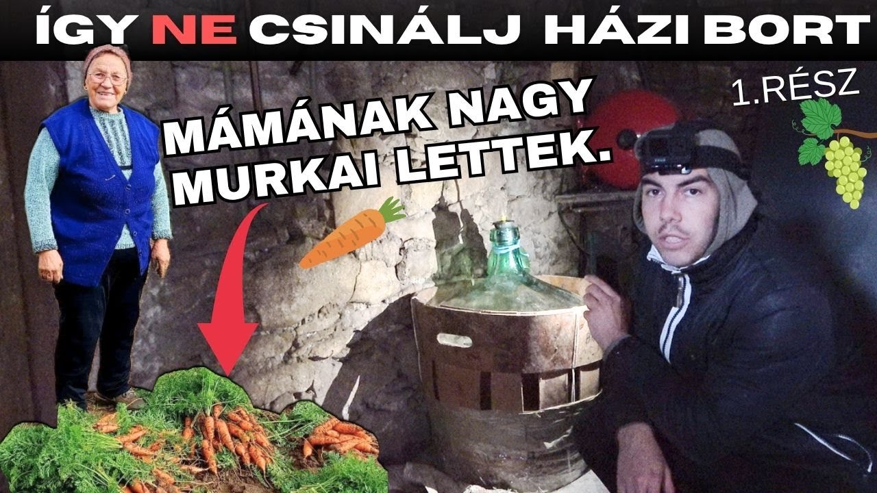 ÍGY NE CSINÁLJ HÁZI BORT. 😂 ( Házi bor és pálinka székelyesen!) 1.RÉSZ