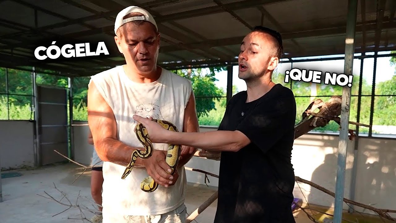 ¡XOKAS (con pelo) en EL SANTUARIO de FRANK ft. PLEX! 🐍