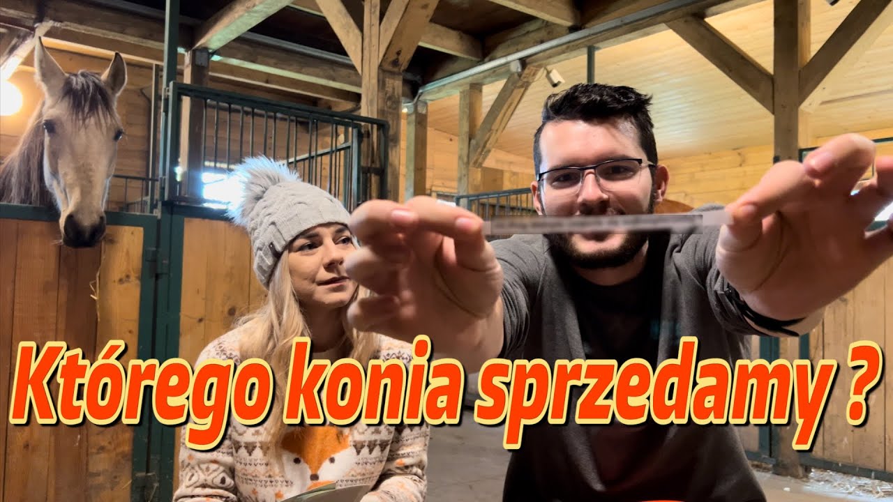 Który koń.. BYŁ NAJDROŻSZY ?!  cz. 1