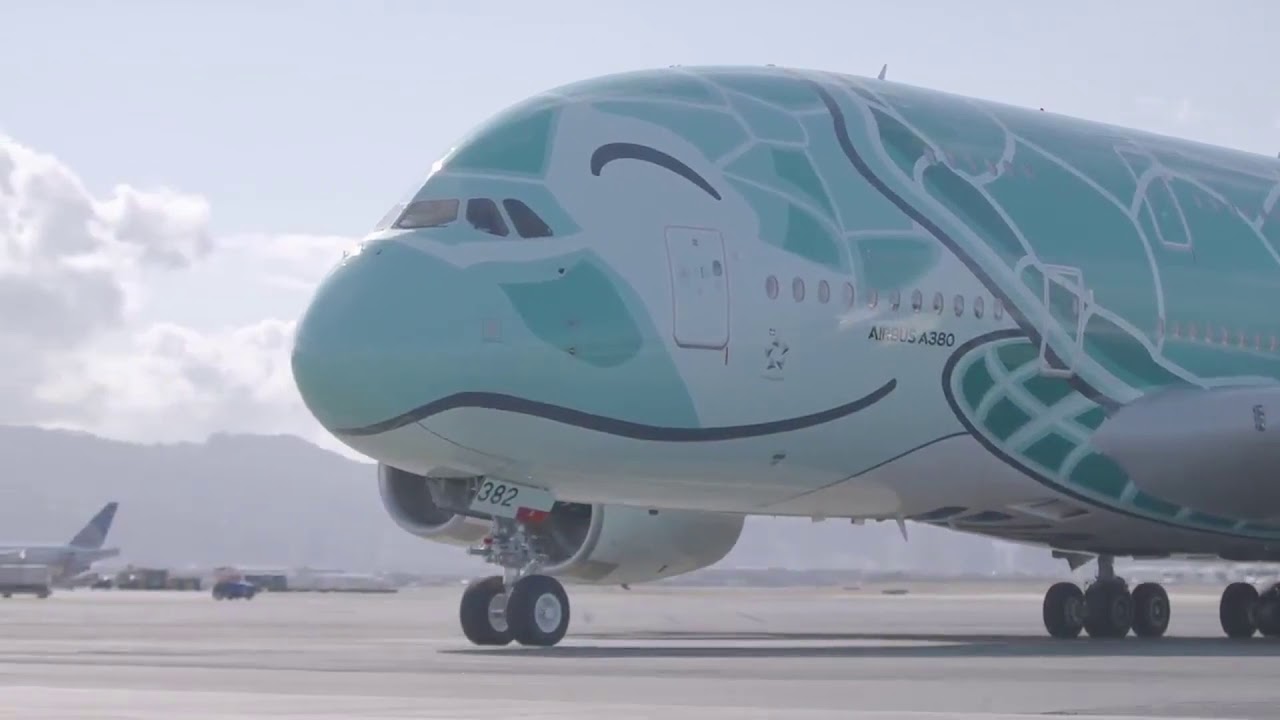 「世界一可愛い飛行機　ANA　FLYING HONU　２号機」（ANAのツイッターの動画とAlex Hの音楽を合体）