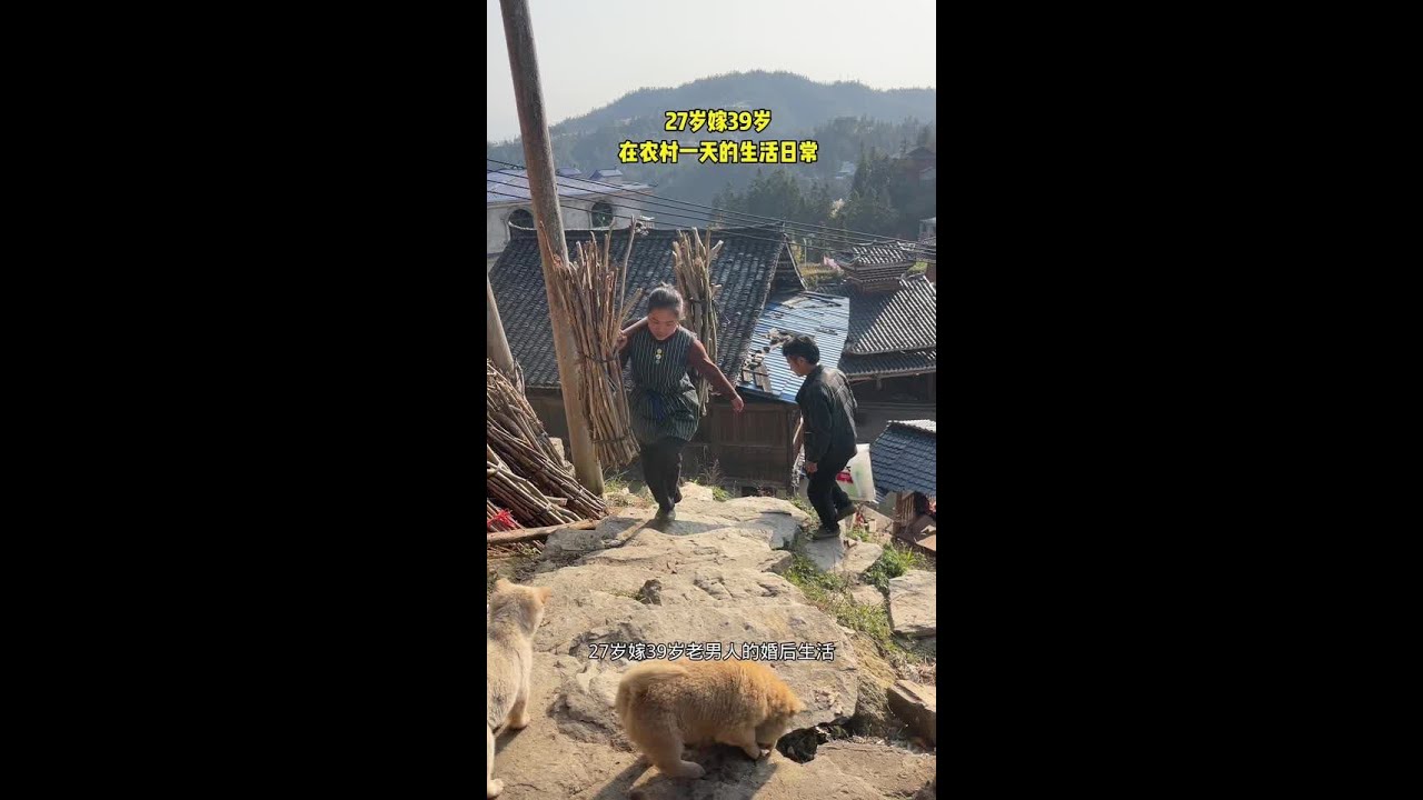 今天没下雨就拉着老男人一起去找柴火了#记录#记录真实#记录农村生活@DOU+小助手