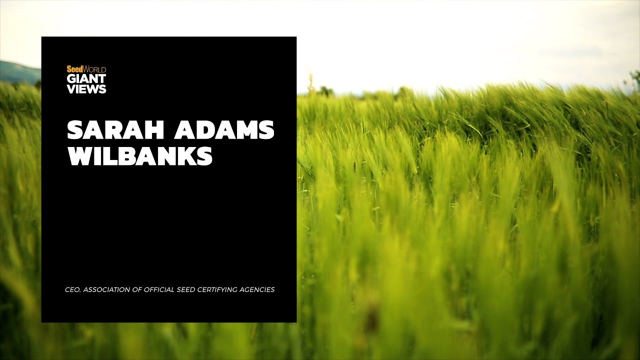 Giant Views with Sarah Wilbanks