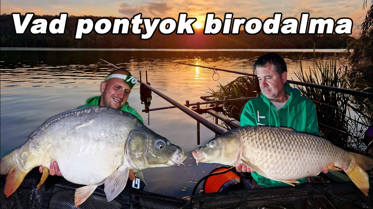 DOVIT CARP FISHING - Vad pontyok birodalma