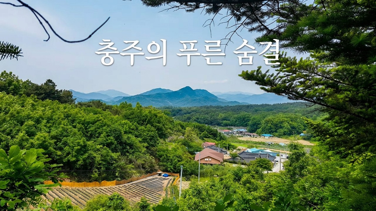 [ 힐링로드 33 ] 4K | 충주의 푸른 숨결, 자연이 들려주는 이야기 -