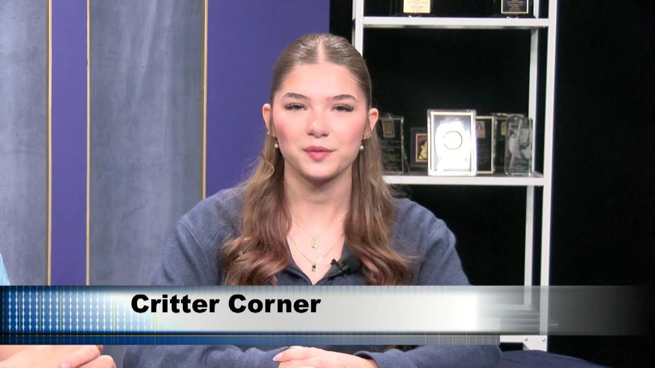 CTV 3/12