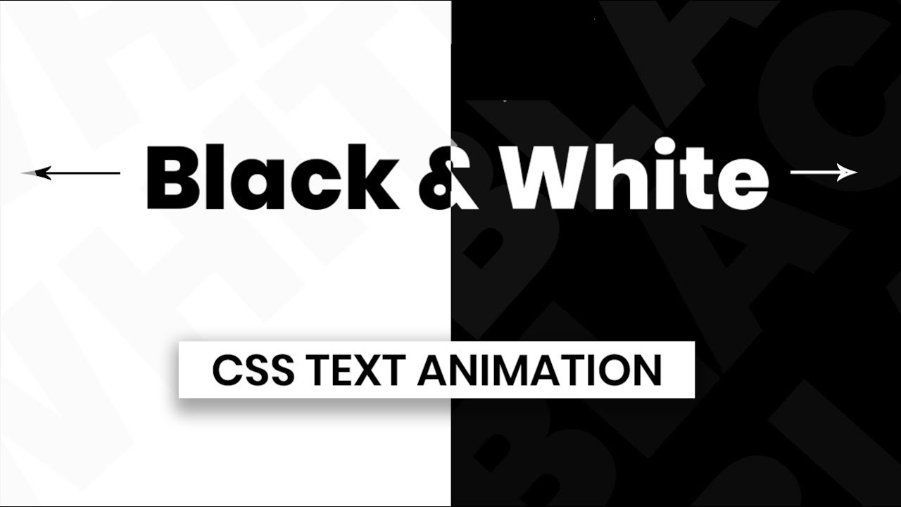 Animated Text in Black and White Background | CSS Text Animation