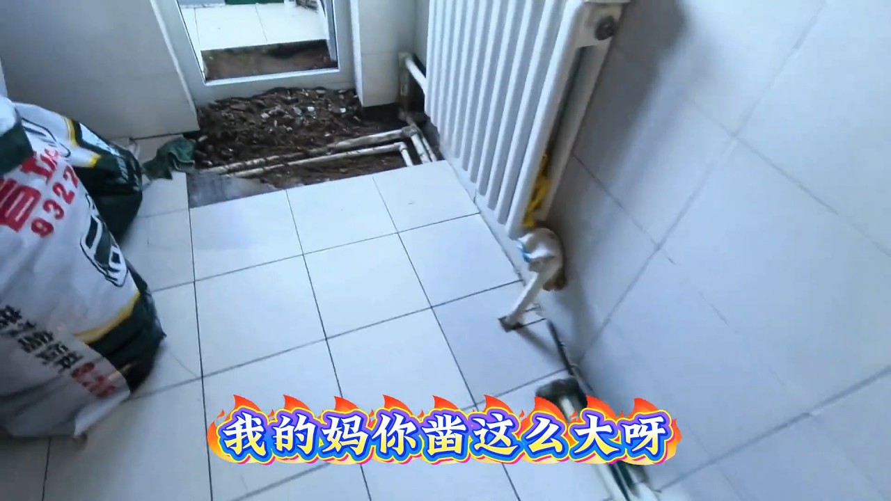 半个同行 #维修漏水 #现场实拍 #日常vlog#漏水检测