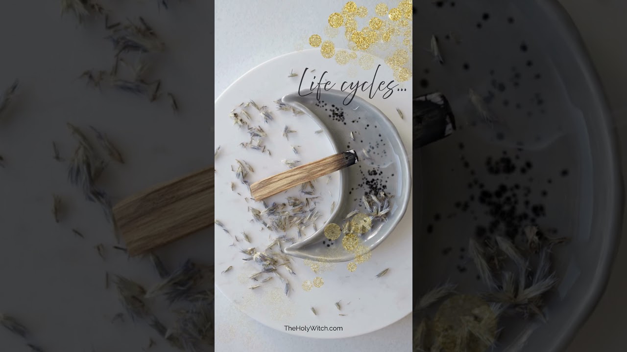 Moon Cycles | Moon Ritual Coven | The Holy Witch #witch #witchcraft