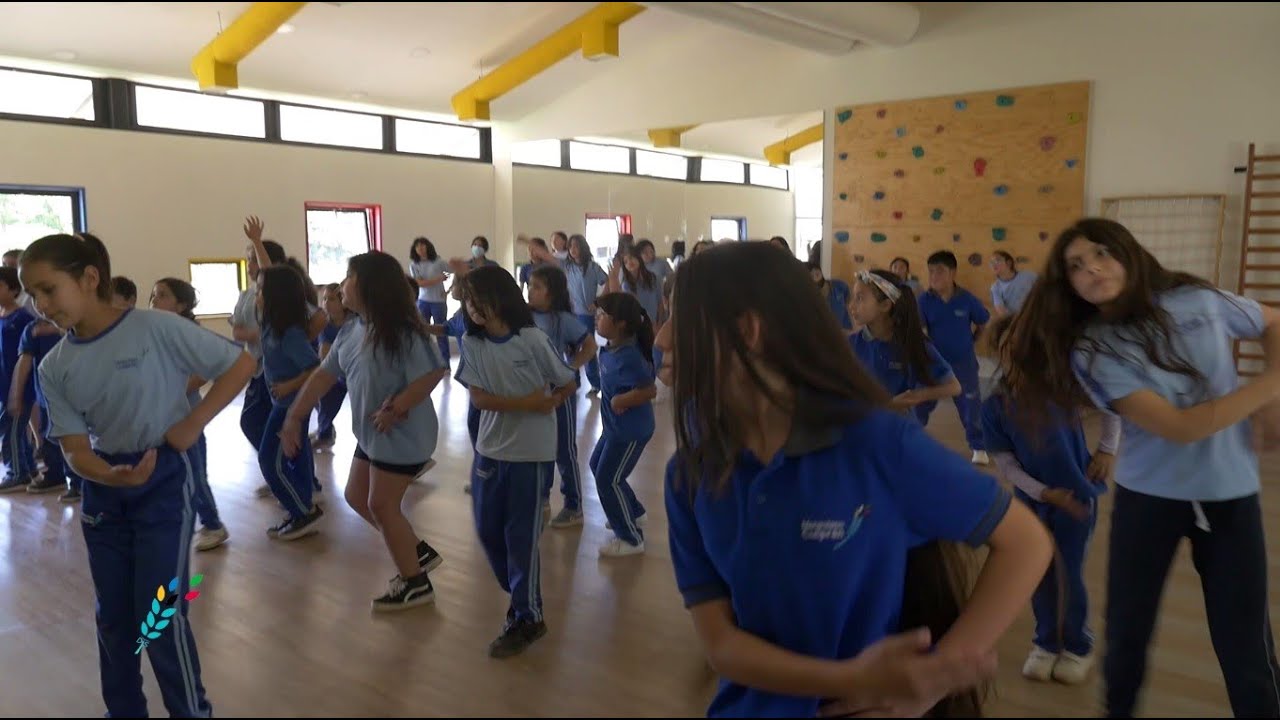 Centro Educacional Menesiano - Taller Bafochitos Menesianos