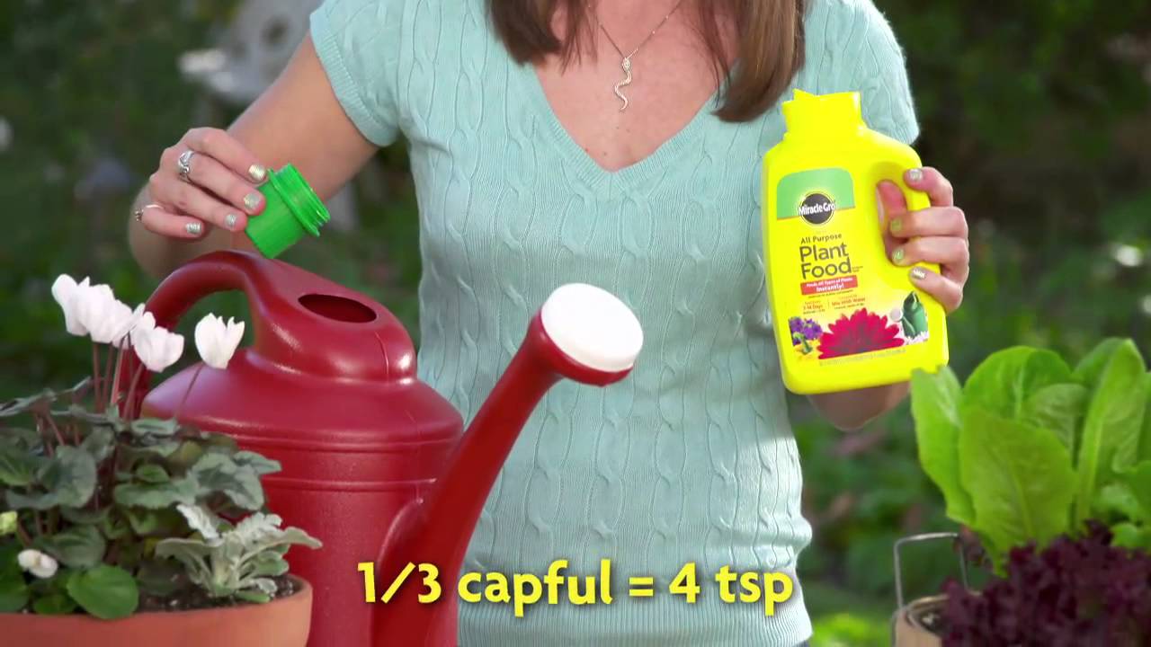 How to Use Miracle-Gro&reg; Liquid All Purpose Plant Food Concentrate