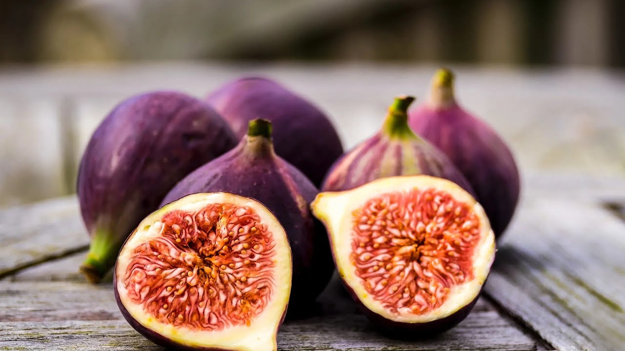 ROOTSTOCK BEHAVIOR FICUS PALMATA VS CARICA FIGS AND GRAFTED ART #ptubegarden #figs#gardening