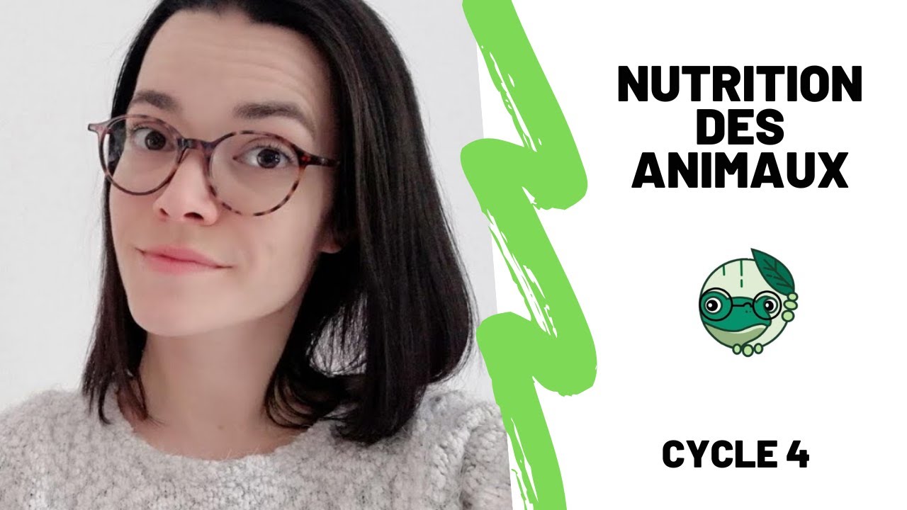 La nutrition des animaux - 5ème - Madame SVT