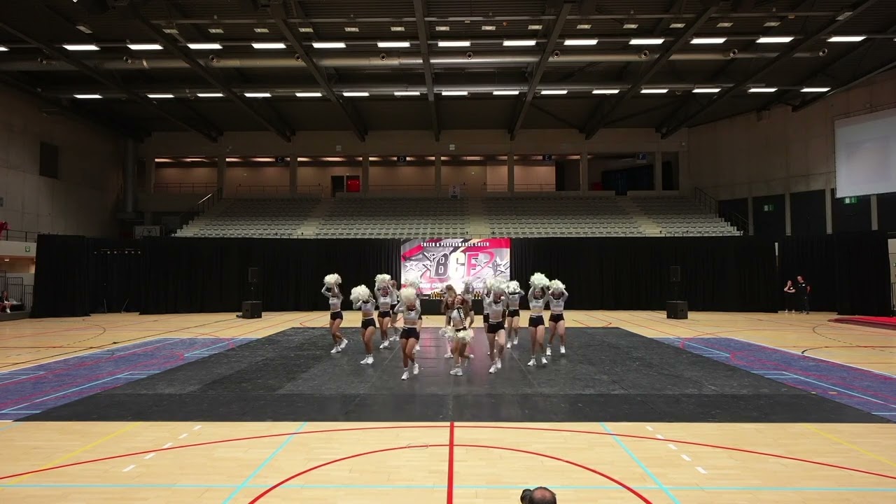 Zebrettes Dancers Zebrettes Dancers SENIOR POM