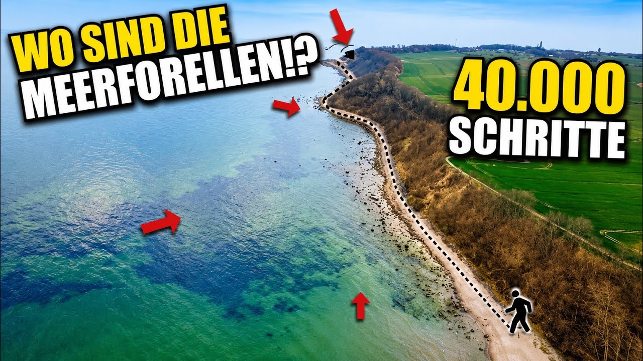 Rügen – Meerforellen Paradies oder die Hölle für Angler!?