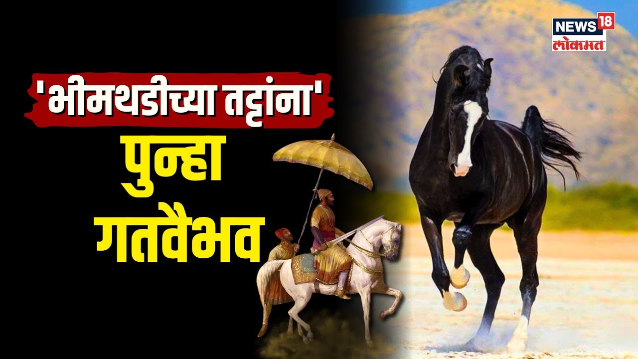 Bhimthadi Horses | भीमथडी अश्वांना मिळणार गतवैभव, काय आहे या घोड्यांची खासियत? | N18V