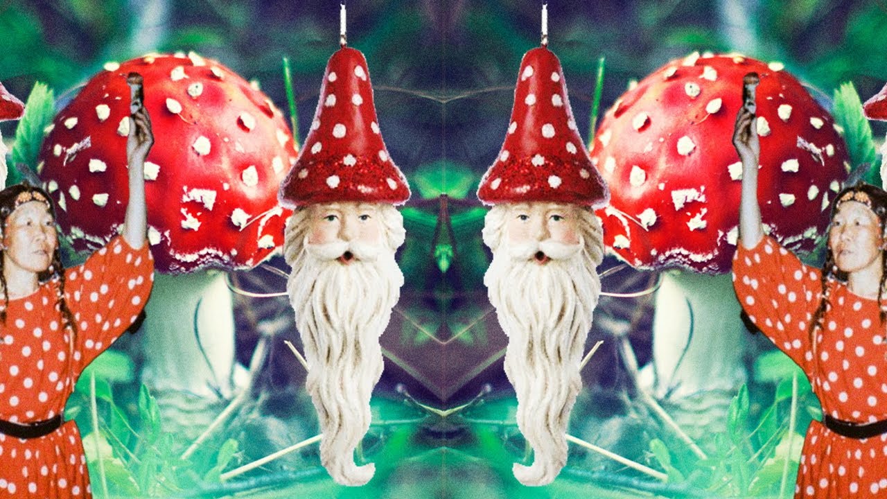 The Connection Between Christmas & Mushrooms