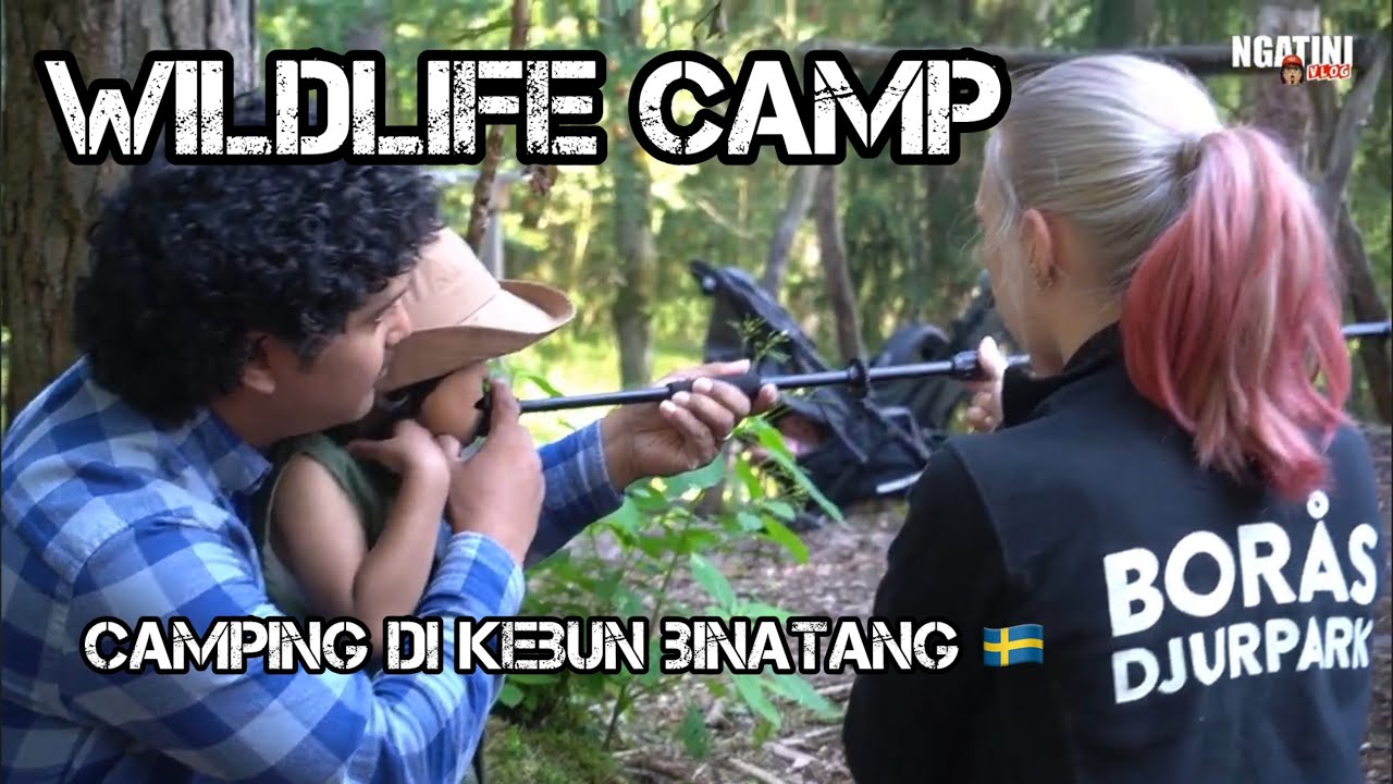 Wild Life camping Borås Djurpark