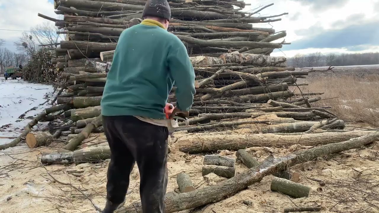 Hard Forest Work with Chainsaws