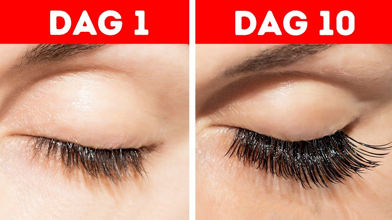 28 BRILJANTE SCHOONHEIDSHACKS DIE ECHT WERKEN