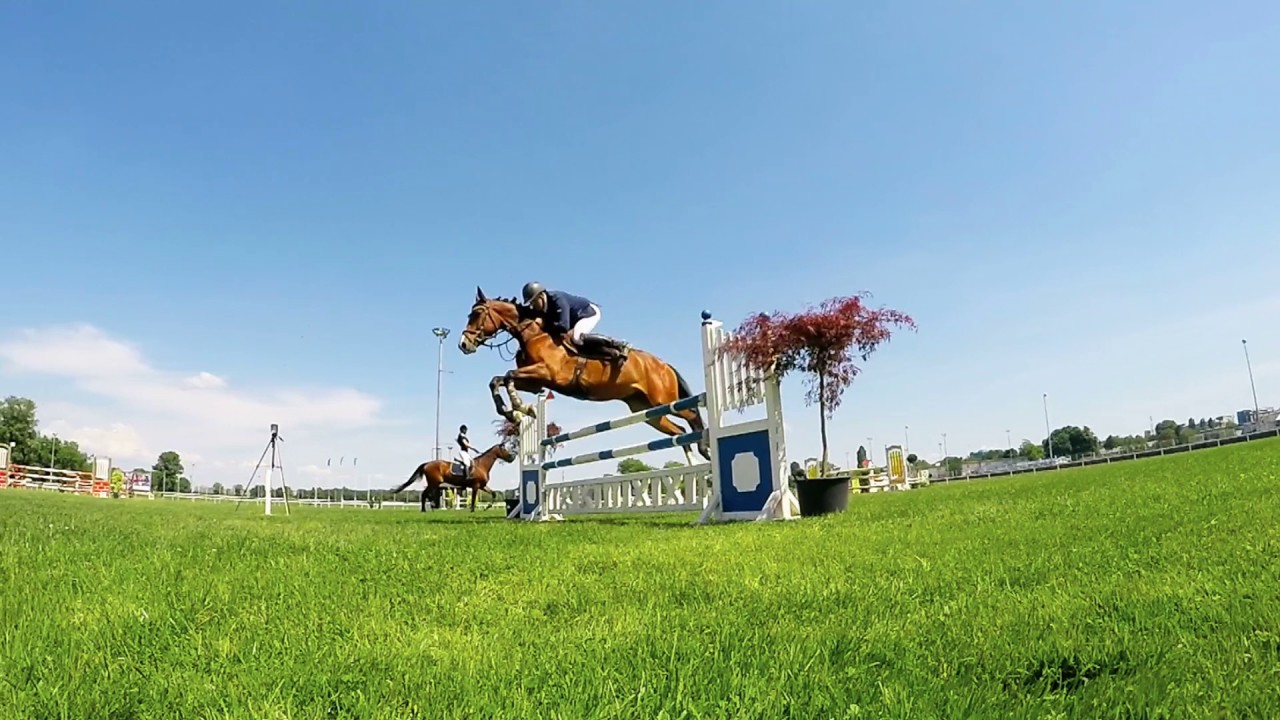 Mirimichi Green - Equine Spot (15s)