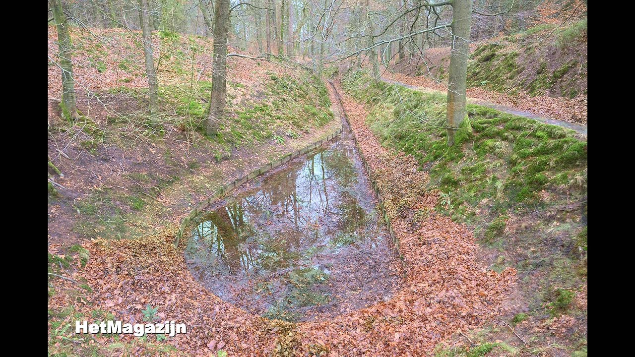 Een dag in het Paleispark
