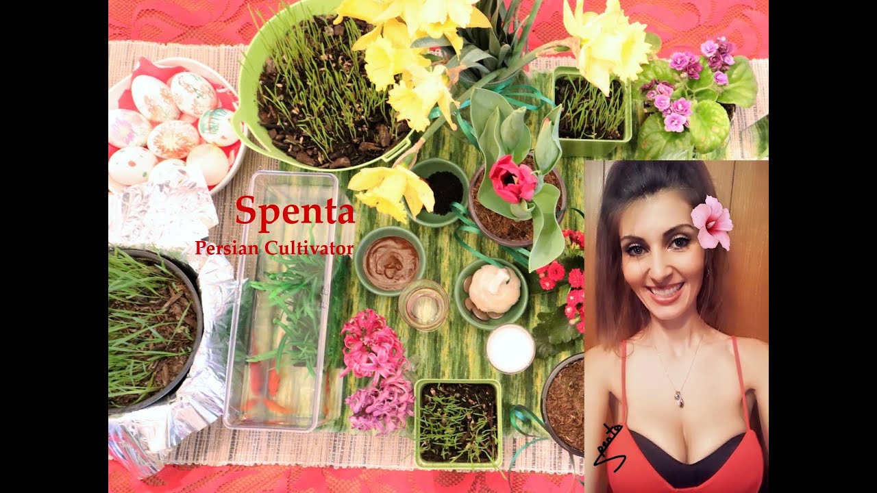 Persian New Year | Persian Girl Explains Nowruz | Haftseen Display | Sal Tahvil | Persian Spenta