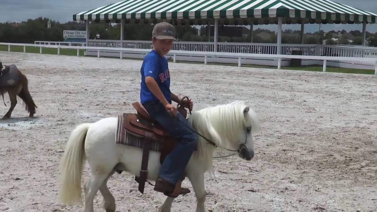 Pony Training