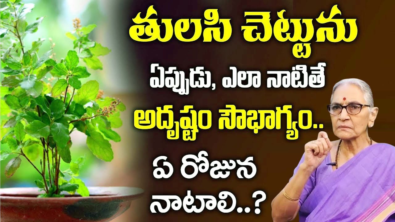తులసి మొక్కను ఏ రోజున నాటాలి..? | Anantha Lakshmi - Dharma Sandehalu